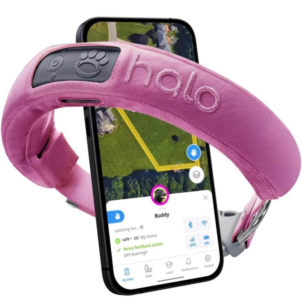 NEW Halo Collar 3 in Orchid